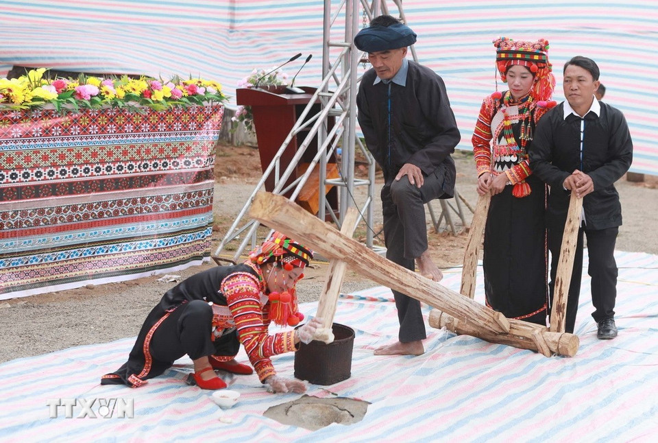 (Ảnh: Quý Trung/TTXVN)