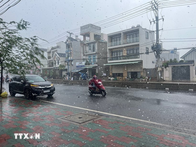 Ảnh minh họa. (Nguồn: TTXVN)