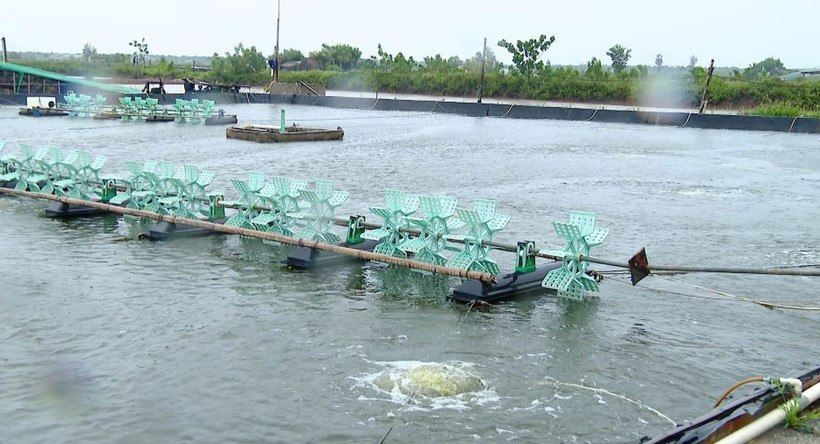 Khu nuôi trồng thủy sản, đê kè biển và các hoạt động khác tại vùng biển huyện Kim Sơn. (Ảnh: Hải Yến/TTXVN)