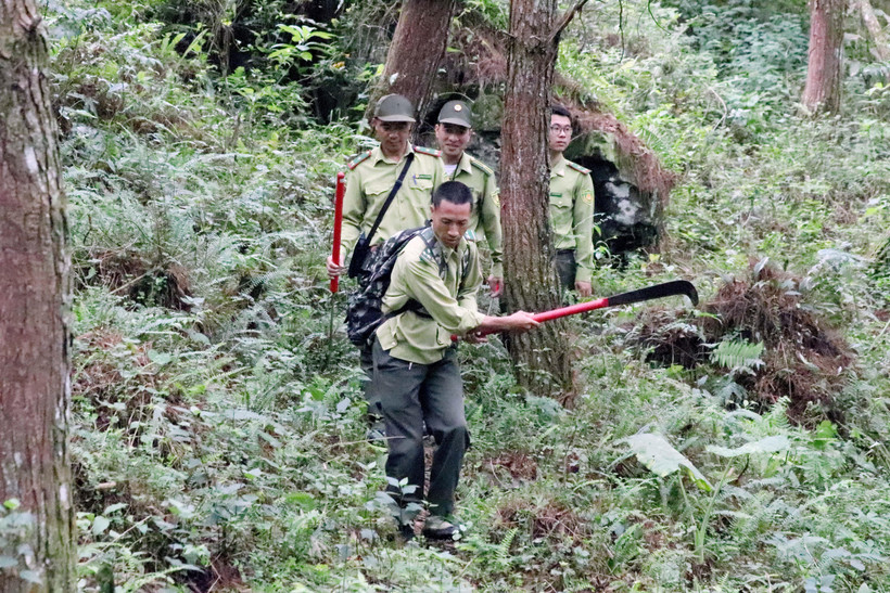 Cán bộ Ban Quản lý Khu bảo tồn thiên nhiên Mường La tuần tra kiểm soát bảo vệ rừng, bảo vệ các loài động, thực vật quý, hiếm. (Ảnh: Quang Quyết/TTXVN)