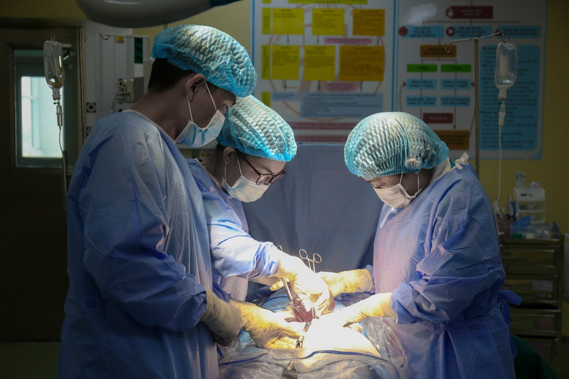 (Ảnh minh họa. TTXVN phát)