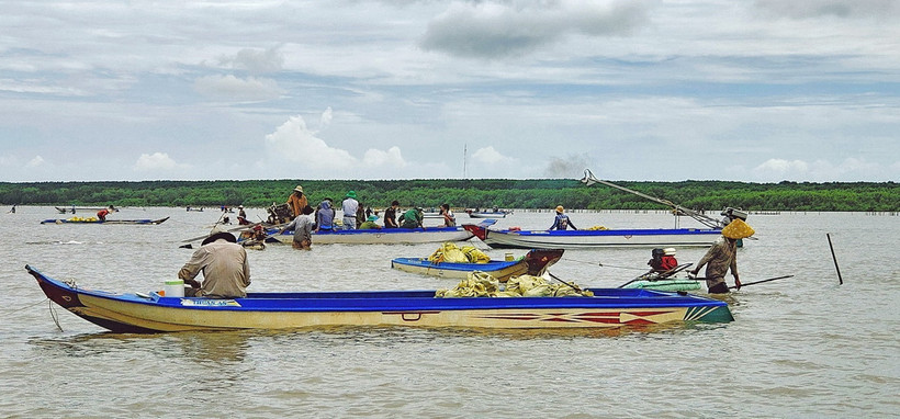 Người dân dùng máy hút cát để khai thác nghêu giống làm ảnh hưởng đến nguồn lợi thuỷ sản và có nguy cơ làm mất an ninh trật tự của địa phương. (Ảnh: TTXVN phát)