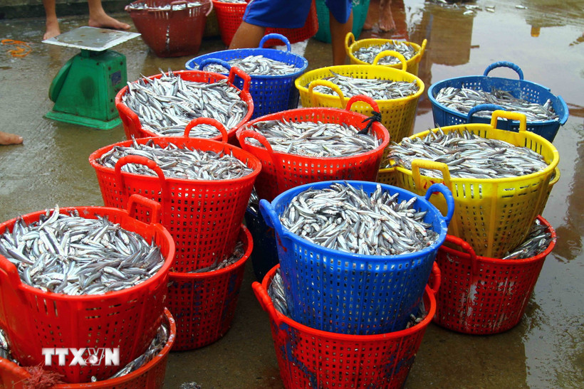 Ảnh minh họa. (Nguồn: TTXVN)