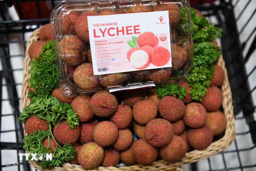 Ảnh minh họa. (Nguồn: TTXVN)