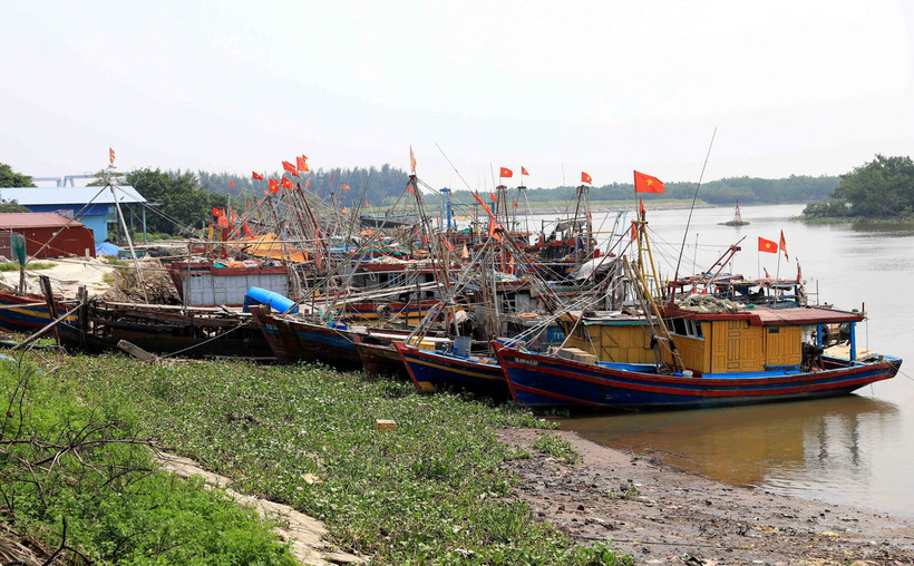 Tàu thuyền neo đậu tránh bão số 3. (Ảnh minh họa. Thế Duyệt/TTXVN)