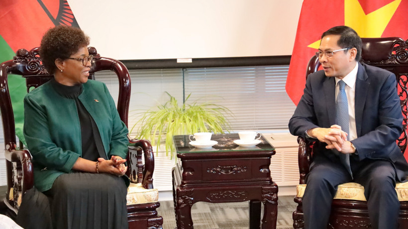 Phó Thủ tướng, Bộ trưởng Ngoại giao Bùi Thanh Sơn hội đàm với Bộ trưởng Ngoại giao Malawi Nancy Tempo trước lễ ký. (Ảnh: Thanh Tuấn/TTXVN)