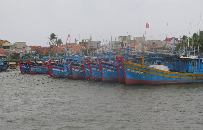 Các tàu thuyền đánh bắt thủy sản neo đậu tránh bão tại cảng cá Đông Tác, phường Phú Đông, thành phố Tuy Hòa, Phú Yên. (Ảnh: Phạm Cường/TTXVN)