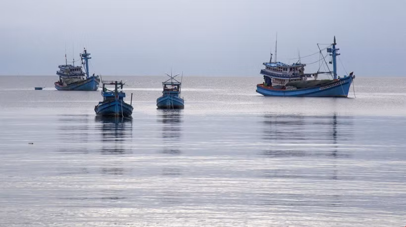 Tàu cá đang khai thác thủy sản. (Ảnh minh họa. Hồng Đạt /TTXVN)
