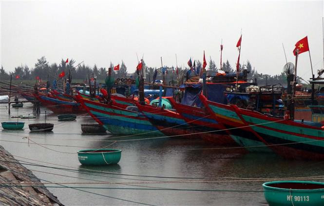 Các phương tiện, người lao động ở Thanh Hóa đã vào tránh trú an toàn 