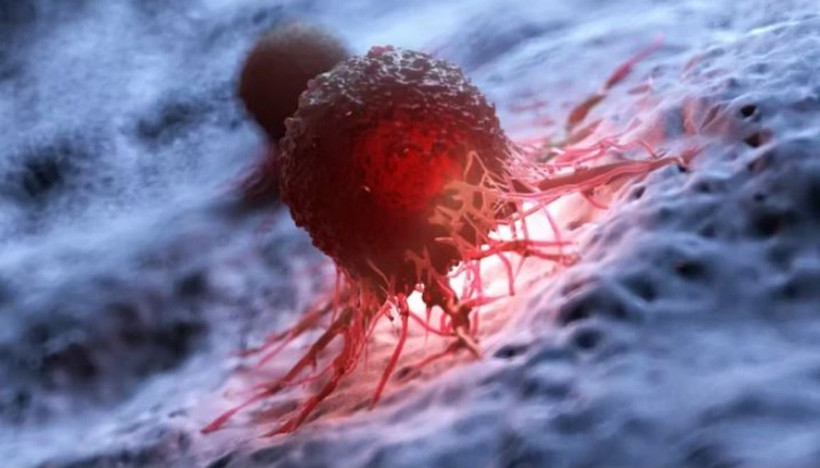 (Ảnh: Getty images)