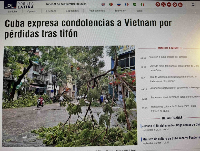 Rác thải kín bờ biển Bãi Cháy, gây mất mỹ quan, song vẫn chưa thể dọn dẹp. (Ảnh: Thanh Vân/TTXVN)