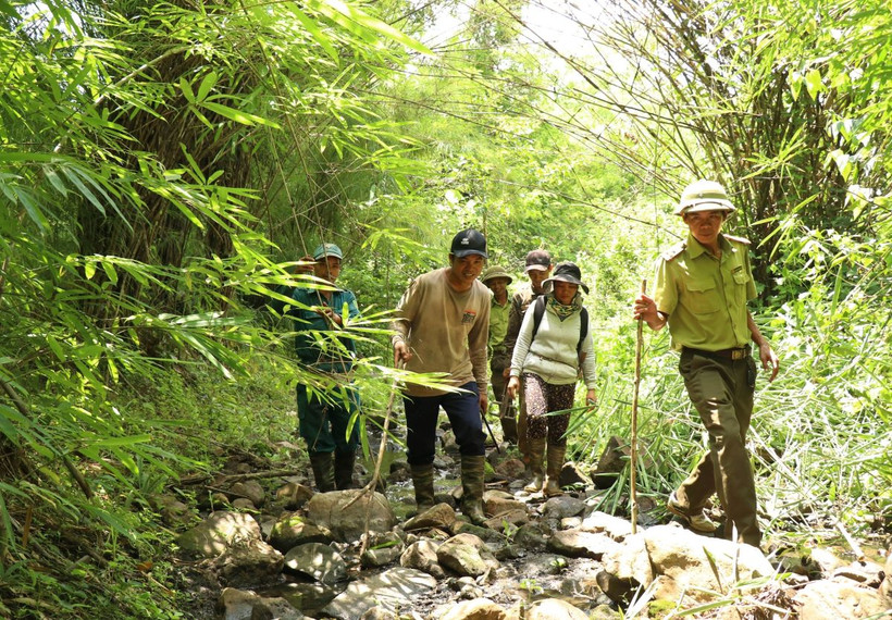 Người nhận khoán bảo vệ rừng buôn Drang Phốk, xã Krông Na, huyện Buôn Đôn, tỉnh Đắk Lắk tham gia tích cực vào công tác quản lý bảo vệ rừng. (Ảnh: Tuấn Anh/TTXVN)