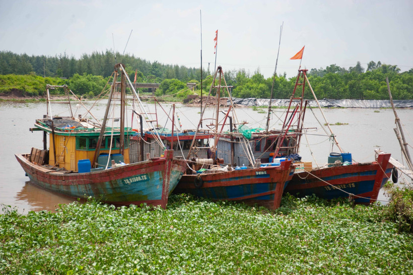 Tàu thuyền chủ động neo đậu tránh trú bão. (Ảnh minh họa. Vũ Quang/TTXVN)