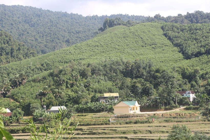Người dân xã Châu Phong, huyện Quỳ Châu, tỉnh Nghệ An thiếu đất sản xuất. (Ảnh: Bích Huệ/TTXVN)