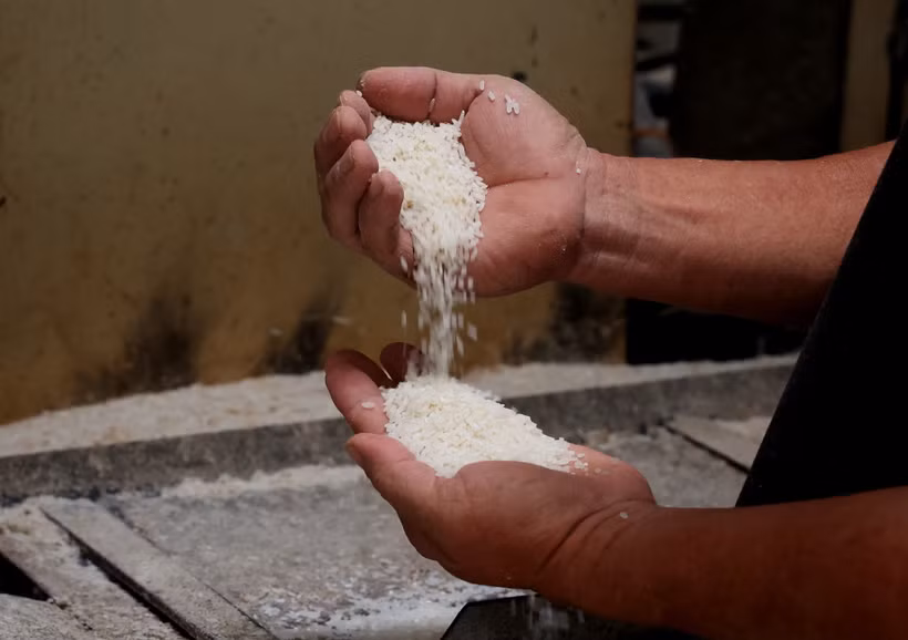 Gạo xuất khẩu của Công ty TNHH Dương Vũ tại ấp Bình Cang, xã Bình Thành, huyện Thủ Thừa, tỉnh Long An. (Ảnh: Hồng Đạt/TTXVN)