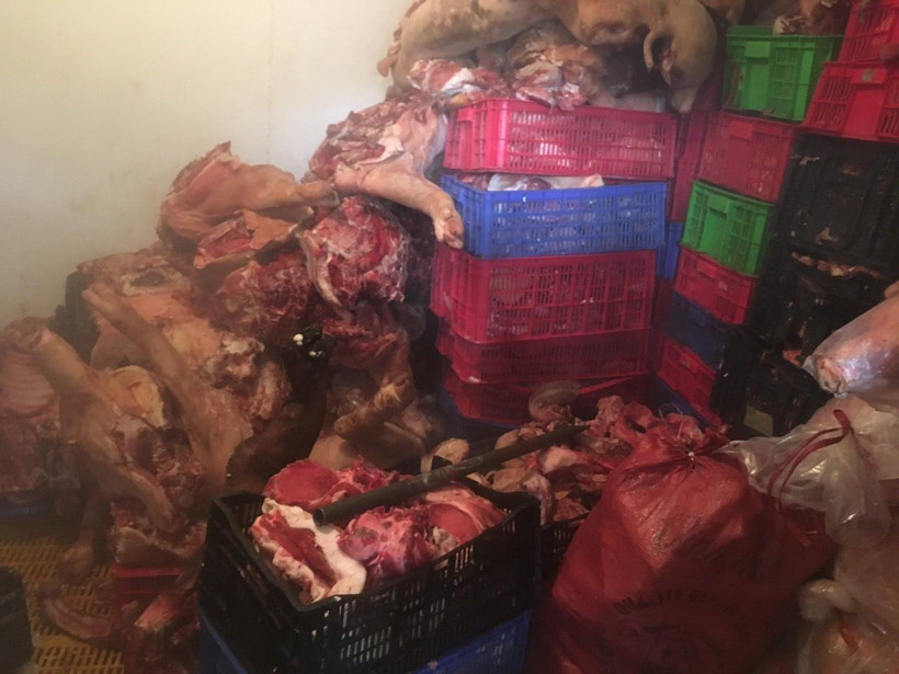 Số thịt lợn thối bị bắt giữ. (Ảnh: Đậu Tất Thành/TTXVN)