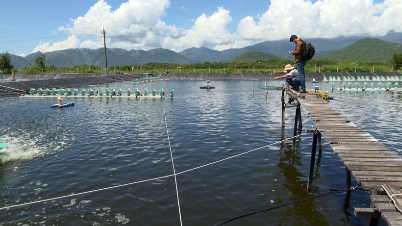 (Ảnh minh họa. TTXVN phát)