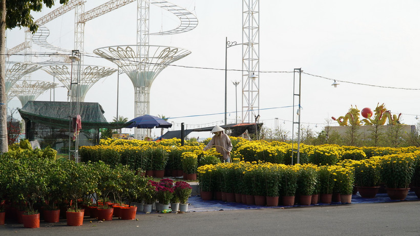 Nhiều tiểu thương cho biết, sức mua hoa Tết năm nay giảm nhiều so với các dịp Tết trước đây. (Ảnh: Văn Sĩ/TTXVN)