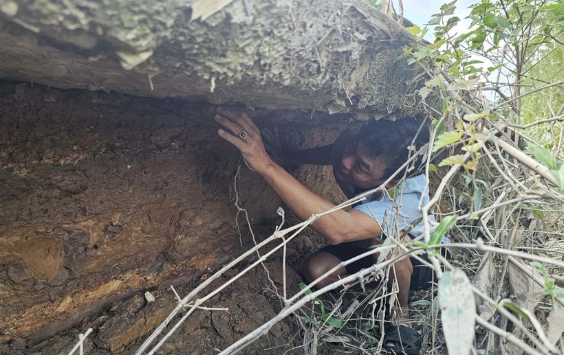 Một vị trí tại tuyến đê bao Cựu Vĩnh Định đi qua thôn Đơn Quế, xã Hải Quế bị xói mòn chỉ còn lại bê tông bên trên. (Ảnh: Thanh Thủy/TTXVN)