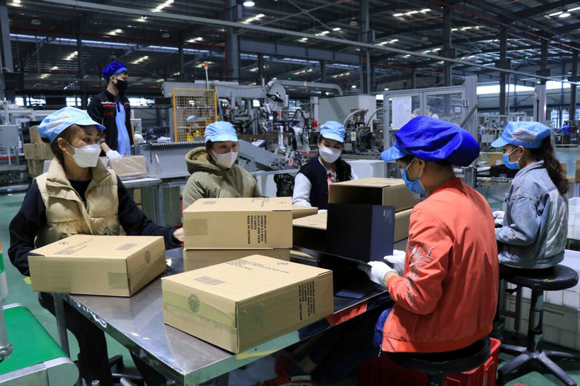 Công nhân lao động làm việc tại Công ty TNHH Deli Việt Nam, Khu công nghiệp Yên Phong, tỉnh Bắc Ninh. (Ảnh: Thanh Thương/TTXVN)