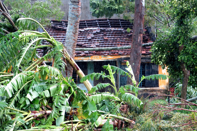 Lốc xoáy làm nhiều nhà dân bị tốc mái, cây cối ngã đổ. (Ảnh: Phước Ngọc/TTXVN)