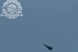 Máy bay MiG-29 Ukraine tấn công chính xác quân Nga bằng bom Mỹ