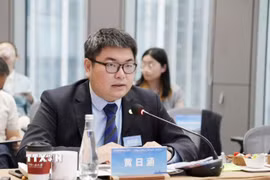Giáo sư Hoàng Nhật Hàm, Đại học Hoa Kiều, tỉnh Phúc Kiến (Trung Quốc). (Ảnh: TTXVN phát)