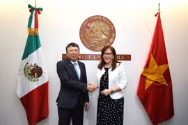 Đại sứ Việt Nam được bổ nhiệm tại Mexico Nguyễn Văn Hải (trái) và Chủ tịch Ủy ban Đối ngoại Thượng viện Mexico Yeidckol Polevnsky Gurwitz. (Ảnh: Phi Hùng/TTXVN)