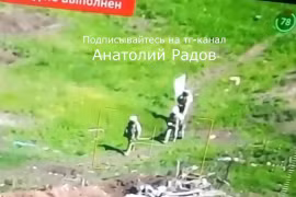 Lính Ukraine bình thản đi tải thương nhờ vẫy cờ trắng với lính Nga