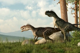 Việc nghiên cứu ung thư trên khủng long có thể giúp xử lý căn bệnh này trên con người. (Ảnh: Canva)