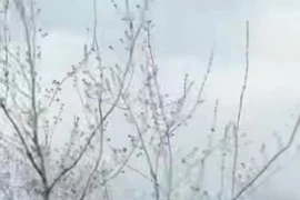 Drone đánh chặn của Nga hạ drone Ukraine trong cuộc không chiến chớp nhoáng