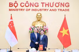 Bộ trưởng Bộ Công Thương Nguyễn Hồng Diên và Bộ trưởng Bộ Công Thương phụ trách năng lượng và khoa học - công nghệ Singapore Tan See Leng.