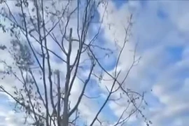 Khoảnh khắc lính Nga đang kiểm tra cầu ở Kursk thì trúng pháo kích Ukraine