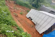 Nhiều hộ dân ở xã Mù Cang Chải bị sạt lở đất. (Ảnh: TTXVN phát)