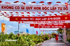 Thành phố Đà Nẵng rực rỡ sắc màu Tết Độc lập