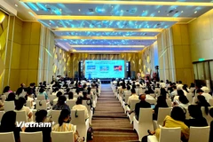 Hội nghị “Đà Nẵng – Không gian mới, động lực mới, vươn mình hội nhập và phát triển”. (Ảnh: Thanh Phong/Vietnam+)