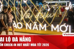 Đà Nẵng: Rực rỡ sắc màu lễ hội Chào năm mới 2026 