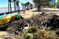 Rác và cát phủ kín vỉa hè mặt đường ven biển Đà Nẵng. (Ảnh: Thanh Phong/Vietnam+)