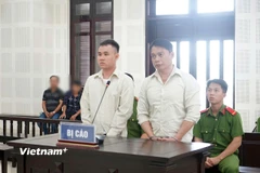 Hai bị cáo Đào Ngọc Lợi (trái) và Đào Ngọc Duy Anh (phải). (Ảnh: PV/Vietnam+)