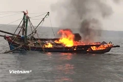 Hình chỉ mang tính minh họa (Nguồn: PV/Vietnam+)