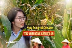 Bắp nếp Cẩm Nam, một trong những đặc sản có hương vị độc đáo của vùng Di sản Văn hóa Thế giới phố cổ Hội An. (Ảnh: Thanh Phong/Vietnam+)