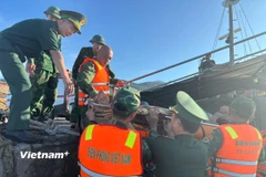 Thuyền viên bị nạn được Hải đội Biên phòng 2, Bộ đội Biên phòng Đà Nẵng đưa về bờ an toàn. (Ảnh: PV/Vietnam+)
