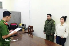 Khởi tố đối tượng liên quan trong đường dây buôn lậu tôm hùm giống. (Nguồn: Công an Đà Nẵng)