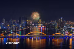 Toàn cảnh ven sông Hàn, thành phố Đà Nẵng khu vực trung tâm cầu Rồng. (Ảnh: Thanh Phong/Vietnam+)