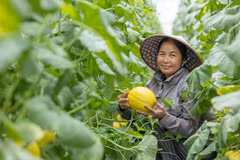 Visa hỗ trợ hơn 27.000 nữ chủ doanh nghiệp chuyển đổi số, mở rộng kinh doanh. (Ảnh: Vietnam+)