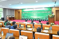 Toàn cảnh hội thảo. (Ảnh: Vietnam+)