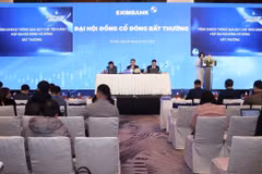 Đại hội cổ đông bất thường Eximbank bầu bổ sung 3 thành viên Ban kiểm soát. (Ảnh: Vietnam+)