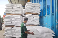 Yêu cầu ngân hàng cung ứng vốn phục vụ sản xuất, thu mua tạm trữ lúa gạo. (Ảnh: Vietnam+)