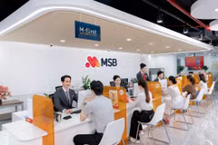 MSB dành 10.000 tỷ đồng giảm lãi suất 2% cho khách hàng cá nhân và doanh nghiệp. (Ảnh: Vietnam+)