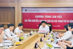 Tổng Giám đốc Agribank Phạm Toàn Vượng cùng đoàn công tác làm việc nắm bắt tình hình các đơn vị trên địa bàn thành phố Đà Nẵng. (Ảnh: Vietnam+)